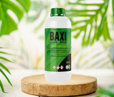 Baxi 99.5 SL
